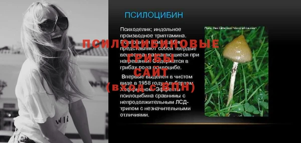 шишки Вязьма