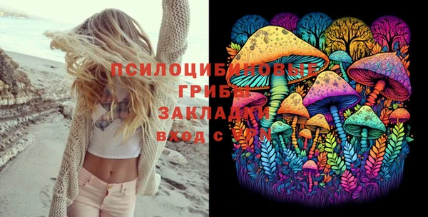 ПСИЛОЦИБИНОВЫЕ ГРИБЫ Волосово