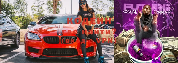 ГАЛЛЮЦИНОГЕННЫЕ ГРИБЫ Вяземский