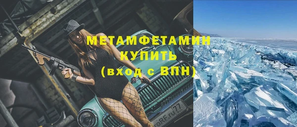 ГАЛЛЮЦИНОГЕННЫЕ ГРИБЫ Вяземский