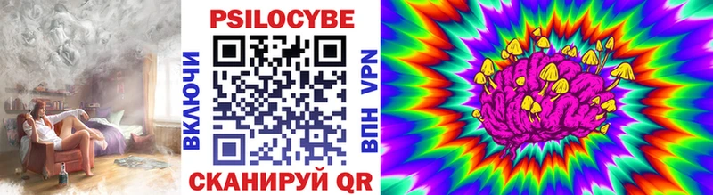 Галлюциногенные грибы Psilocybine cubensis  магазин продажи   Закаменск 